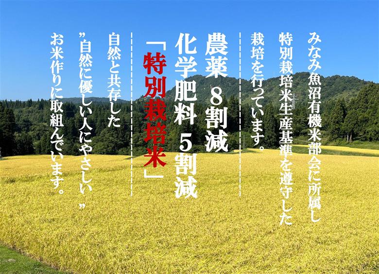 令和7年産【とやの里山越光農園の天水棚田米】特別栽培米雪蔵熟成しおざわ産コシヒカリ　精米5kg全1回　【2025年12月下旬より発送】