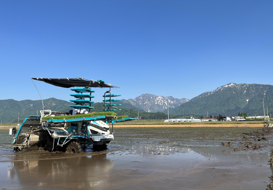 【令和7年産】南魚沼産コシヒカリ　八色　精米5kg