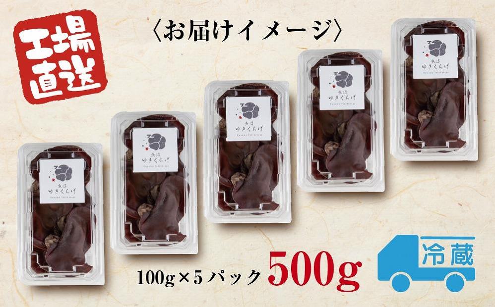 国産 生 きくらげ 100g×5パック 計500g 小分け 栄養豊富 無農薬 無添加 オーガニック 自家栽培 雪国 魚沼ゆきくらげ