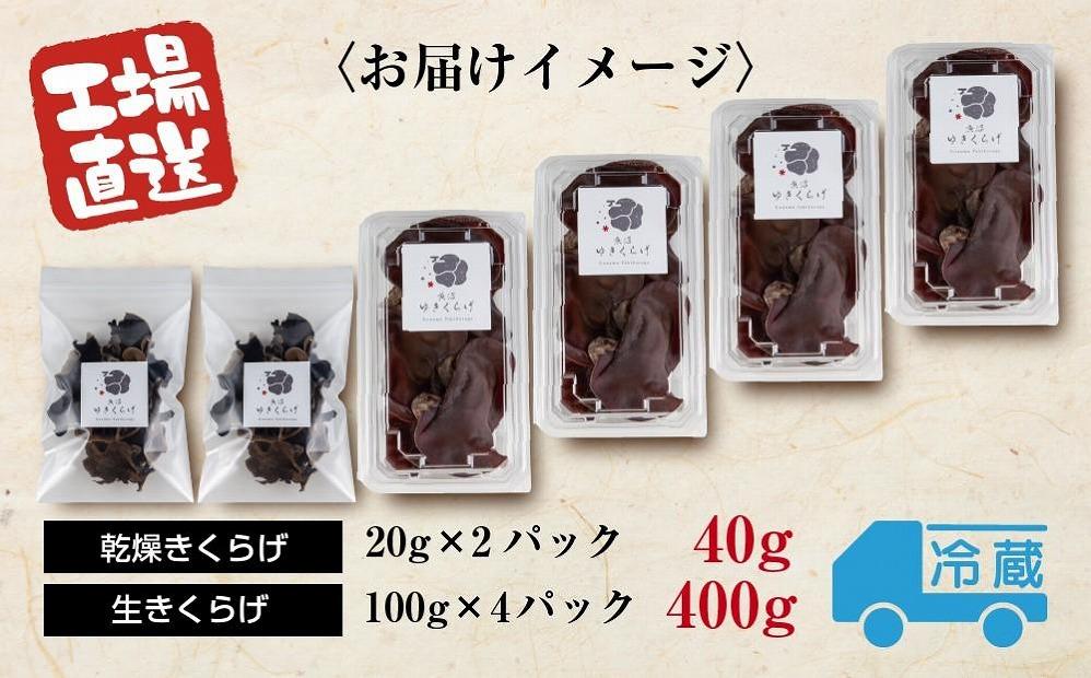 国産 生 きくらげ 100g×4パック 計400g 乾燥 きくらげ 20g×2パック 計40g 小分け 栄養豊富 無農薬 無添加 オーガニック 自家栽培