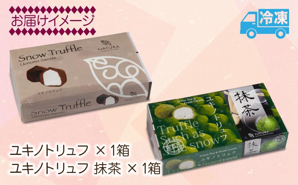 ユキノトリュフ ココア 抹茶 2種 16個 チョコレート おやつ スイーツ 洋菓子 バレンタイン 誕生日 お祝い 贈り物 ギフト お取り寄せ 冷凍 グルメ 土産 魚野の里 ナトゥーラ 新潟県 南魚沼市