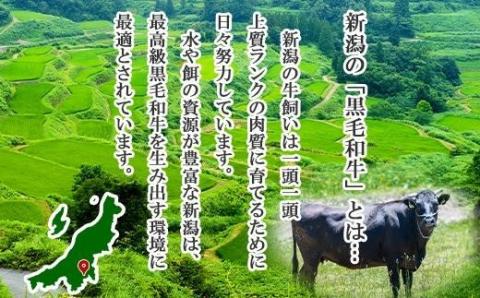 新潟牛 南魚沼産 にいがた 黒毛和牛 サーロインステーキ 200ｇ×2枚 2人前 新潟県 南魚沼市