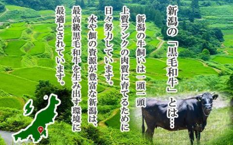 【無地熨斗】新潟和牛 南魚沼産 にいがた 黒毛和牛 サーロインステーキ 200ｇ×4枚 4人前 新潟県 南魚沼市