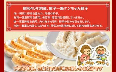 新潟県 南魚沼市 チルド手焼き餃子 8個入り × 6パック 計48個 ケンちゃん餃子 冷蔵 中華 点心 惣菜 ビール お取り寄せ グルメ