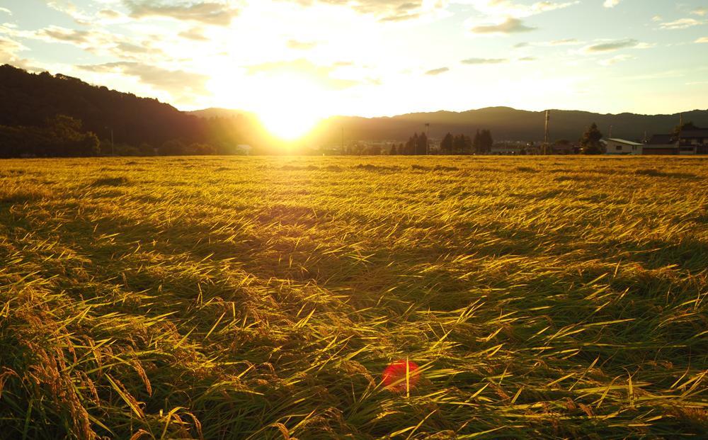 【JAみなみ魚沼定期便】南魚沼産こしひかり玄米（5kg×全3回）特A獲得日本一産地 調整玄米 精選玄米 雪国の恵み もっちり甘い 南魚沼産コシヒカリ