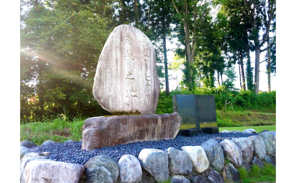 【令和7年産】【定期便・上旬お届け】5kg×12ヶ月　南魚沼産コシヒカリ生活応援