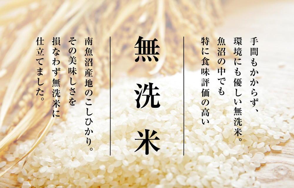 【頒布会】（2kg×2 全6回）無洗米　南魚沼産こしひかり