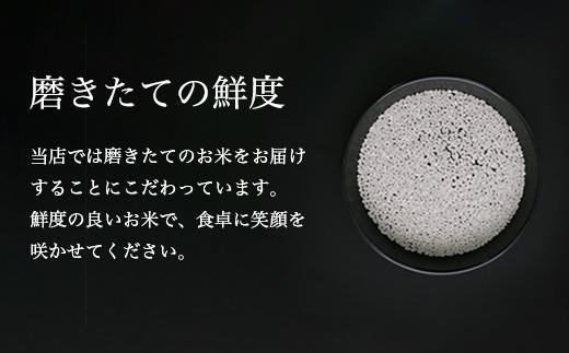 【定期便】令和7年産 南魚沼産コシヒカリ「塩沢地区限定」精米 5kg×2袋  6ヶ月連続