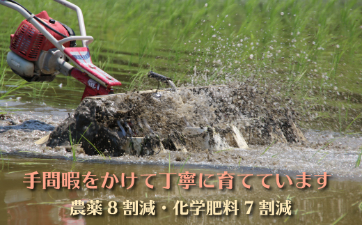 【令和７年産新米予約】南魚沼産コシヒカリ　富三郎　農薬8割減の特別栽培米　肥沃な大地と八海山の雪解け水が育んだ厳選米　白米５ｋｇ【2025年10月中旬より順次発送予定】