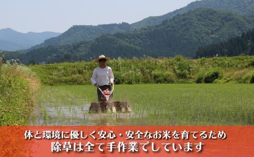【令和７年産】南魚沼産コシヒカリ　富三郎　農薬8割減の特別栽培米　肥沃な大地と八海山の雪解け水が育んだ厳選米　無洗米５ｋｇ