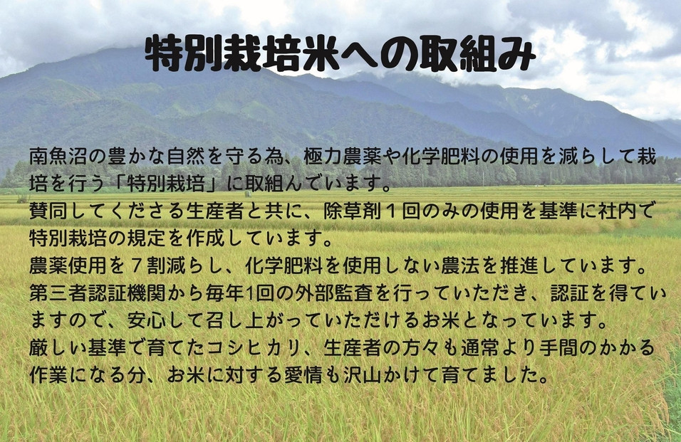 【令和7年度産】【定期配送】南魚沼産コシヒカリ特別栽培米 白米 5kg 全12回