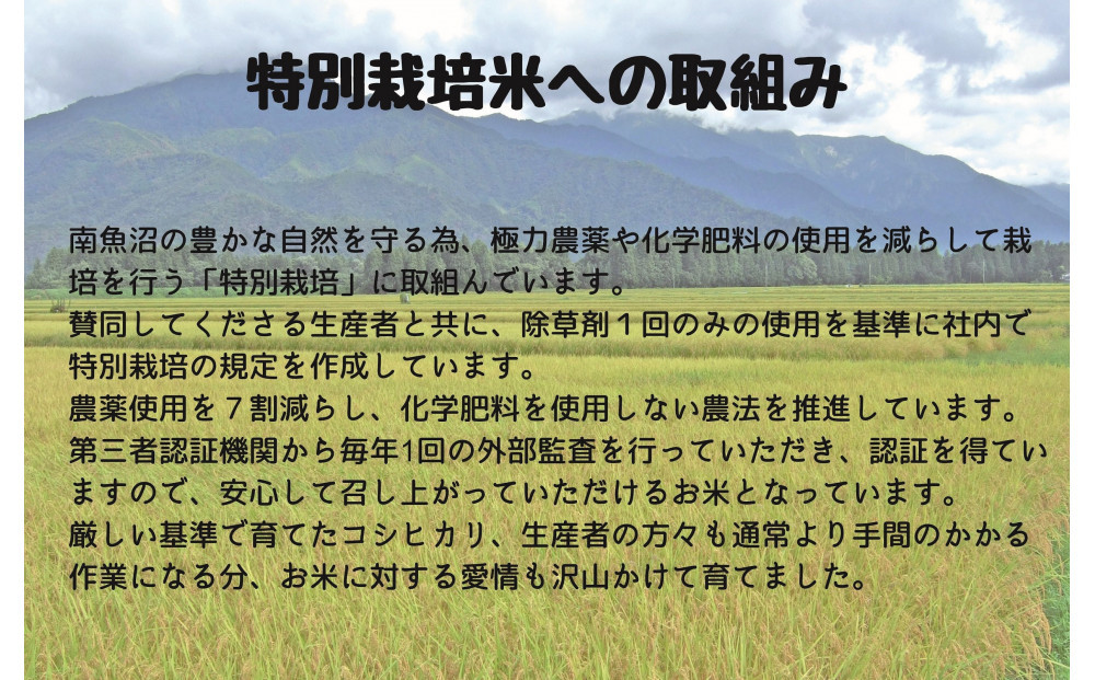 令和7年産 南魚沼産コシヒカリ特別栽培米 白米 5kg