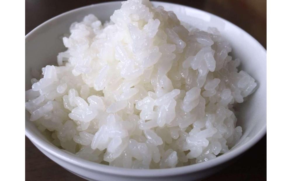 【頒布会】R7年産　最優秀賞受賞【8割減農薬】最高峰南魚沼産こしひかり10kg（5kg×2）×6ヶ月　桑原農産のお米(精米)