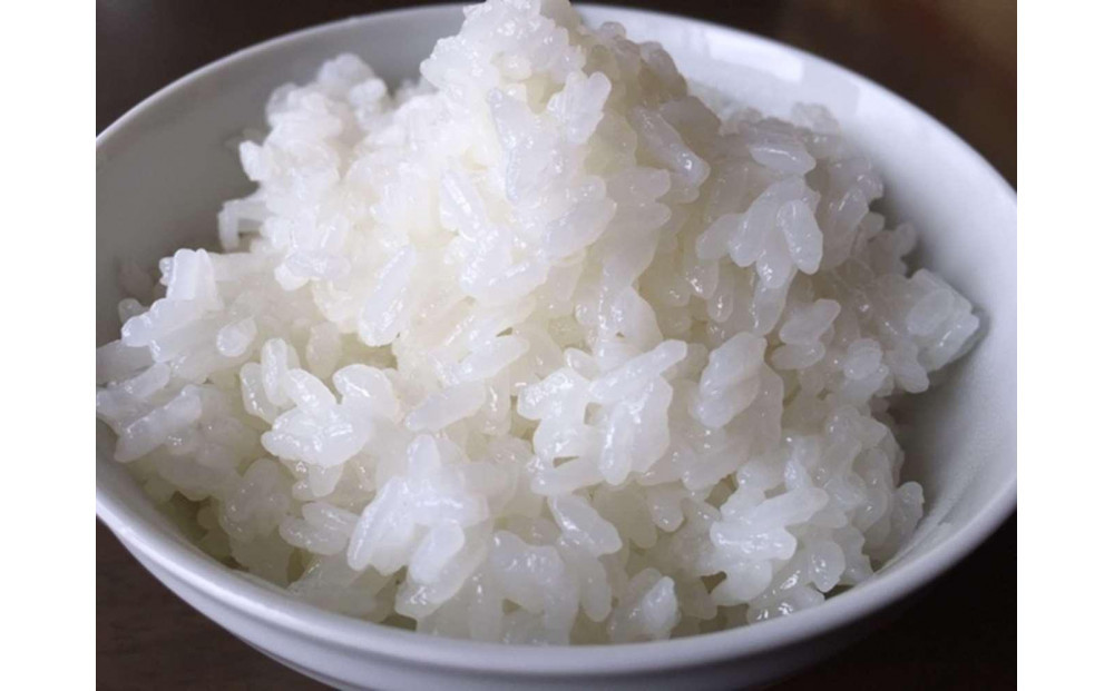 【令和7年度新米】【頒布会】日本のお米の最高峰　山間地米　南魚沼産コシヒカリ5kg×2　　6カ月