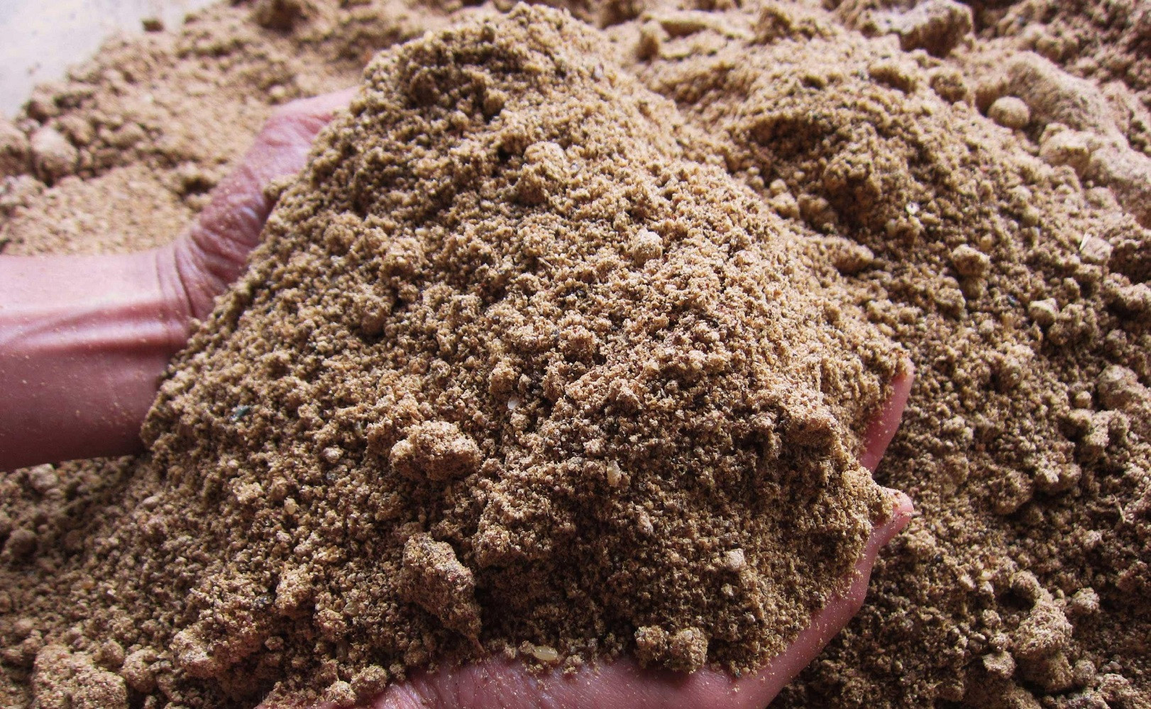 【令和7年産】関智晴がつくる南魚沼塩沢産コシヒカリ20kg（5kg×4個） 減農薬栽培米【2025年9月中旬より順次発送予定】