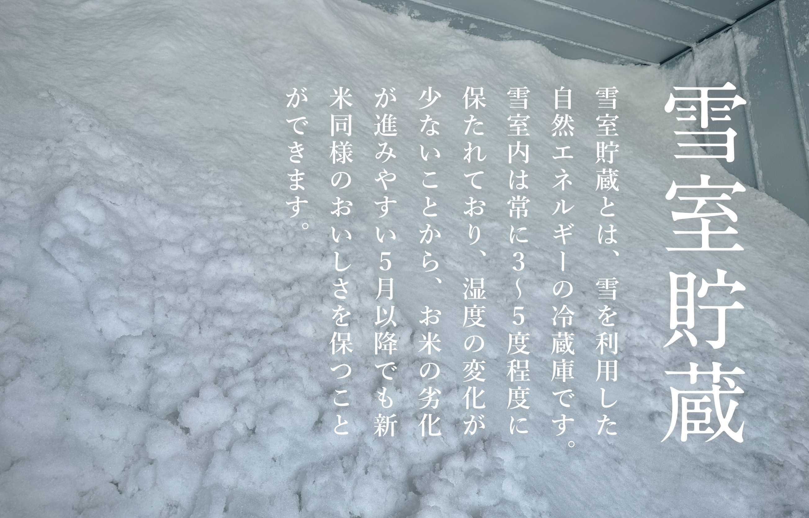 【頒布会】関智晴がつくる最高級 無農薬栽培米10kg(5kg×2個)×全12回 南魚沼産コシヒカリ