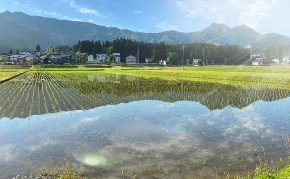 【令和7年産】この一粒に愛をこめて【四代目田中の最高傑作品】精米5kg