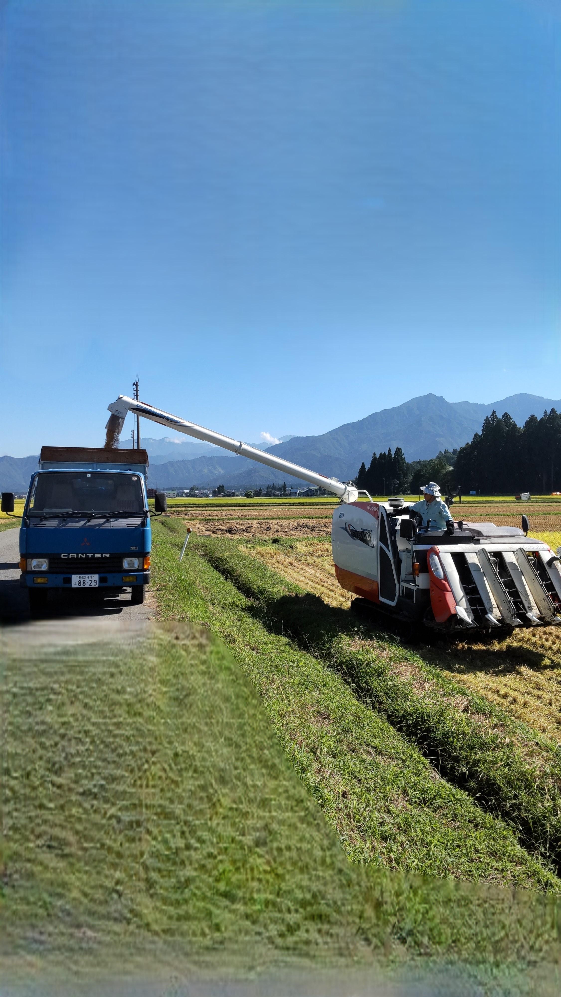 【令和7年】魚沼産しおざわコシヒカリ白米５ｋｇ