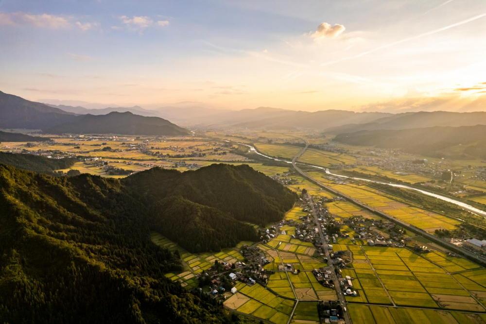 【令和7年産】 南魚沼産コシヒカリ「特別栽培米（アファス認証）」精米5kg×２袋【新潟県 特A地区】