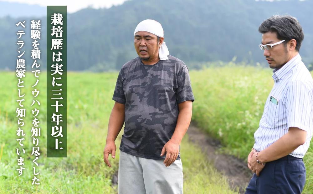 先行予約【高級】八色原すいか大玉１玉【2026年7月下旬発送】【お届け日時指定不可】