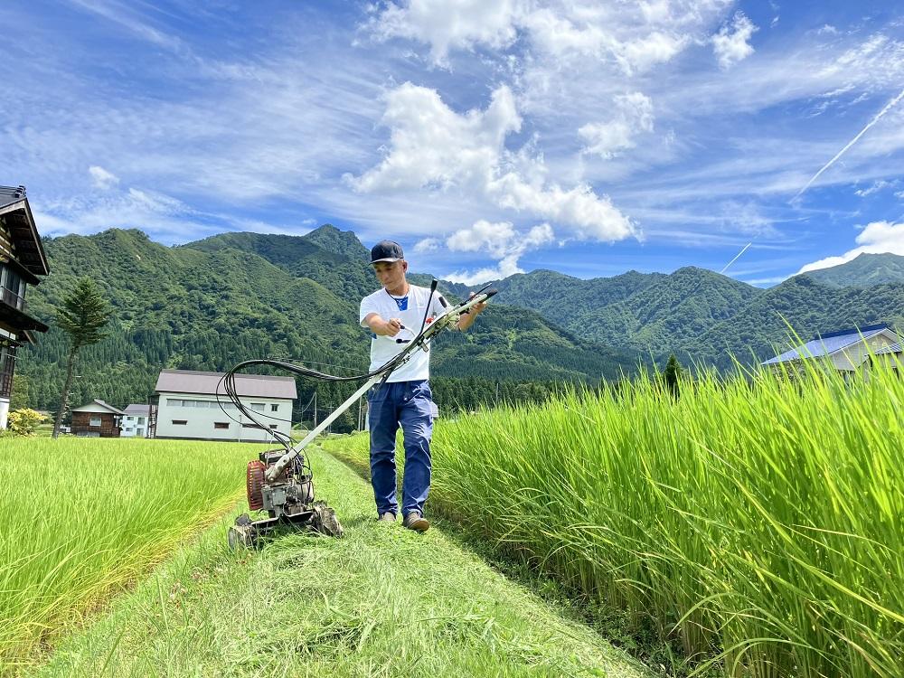 【令和7年産】農家直送　南魚沼産コシヒカリ　5kg(5kg×1袋）【2026年3月上旬より順次発送予定】