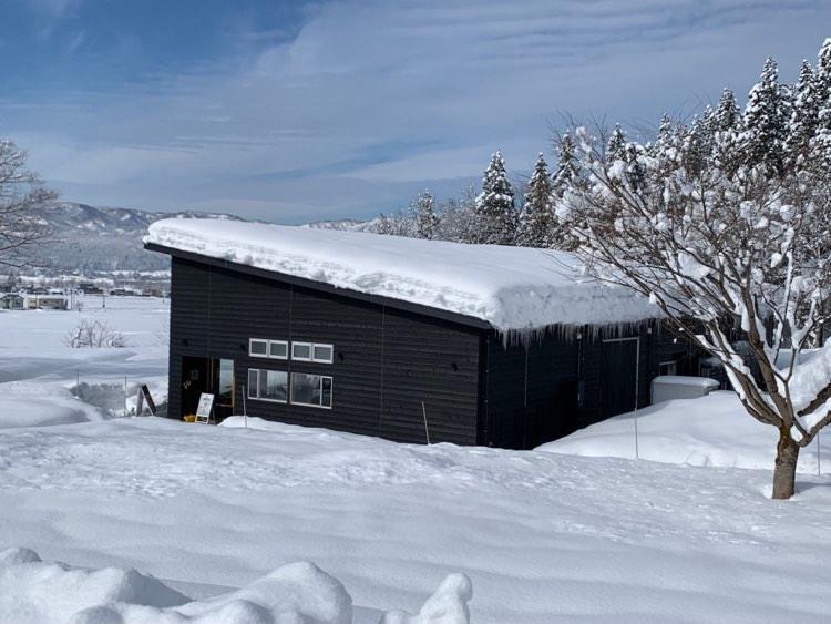 【別格 雪温貯蔵にいがた和牛】A5リブロース（芯）すき焼用 500g