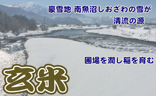 【令和7年産】【定期便】玄米 生産者限定 南魚沼しおざわ産コシヒカリ10Kg×6ヶ月【2025年10月上旬より順次発送予定】