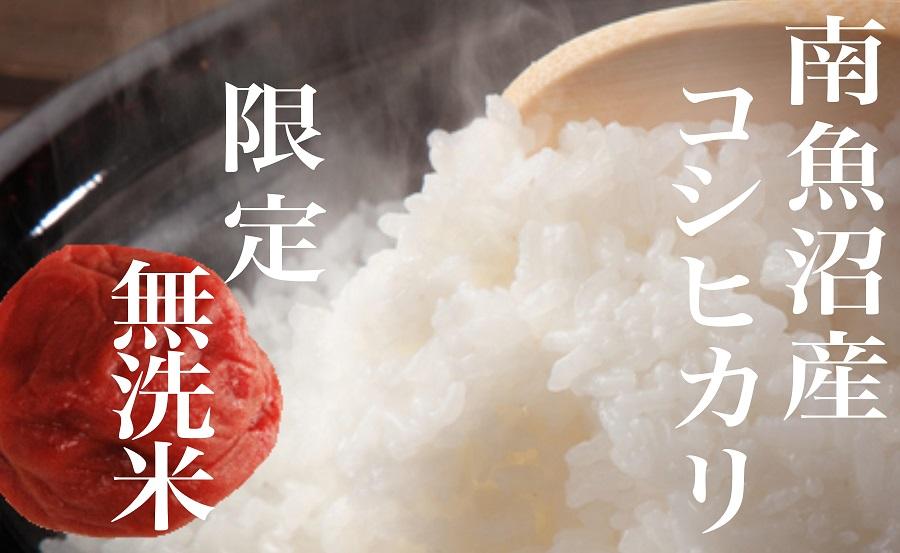 【令和7年産】【定期便】《無洗米》南魚沼産コシヒカリ8Kg×全12回【2025年10月上旬より順次発送予定】