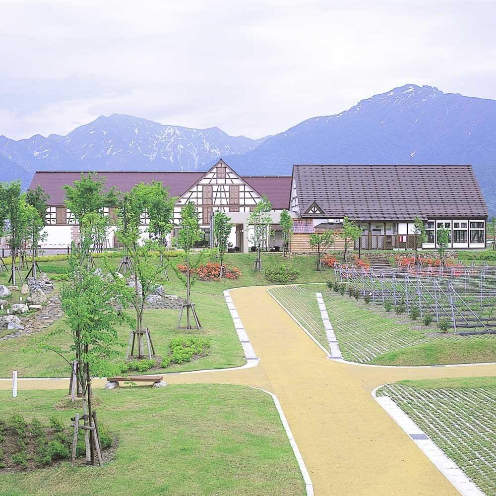 八海山 純米大吟醸 720ml・越後ワイン 雪季 赤 750ml　2本セット