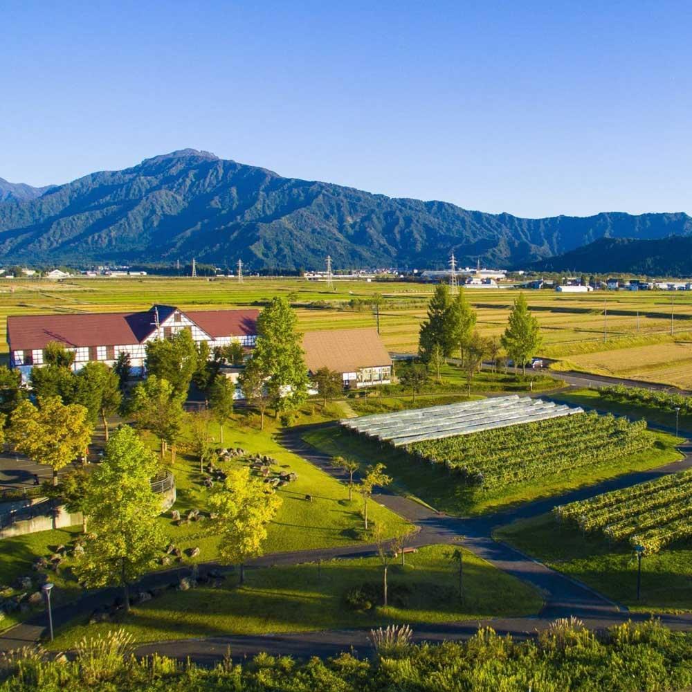 越後ワイン 雪季 赤・白 750ml　2本セット