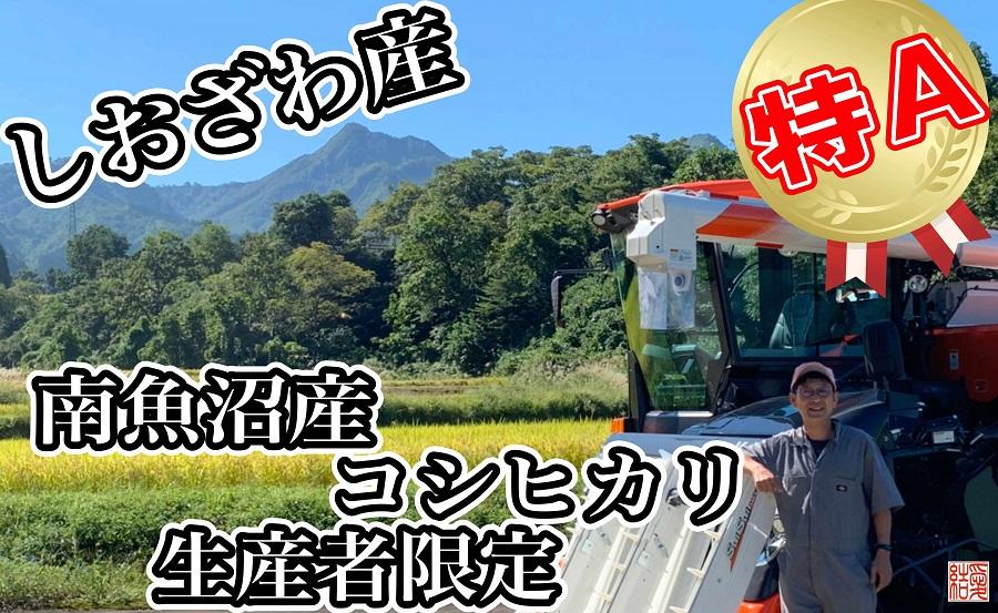 【令和7年産】【定期便】玄米 南魚沼しおざわ産コシヒカリ4Kg×6ヶ月