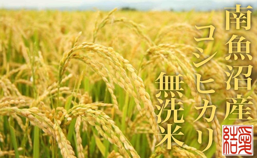 【令和7年産】【定期便8Kg×全12回【無洗米】 南魚沼産コシヒカリ【2025年10月上旬より順次発送予定】