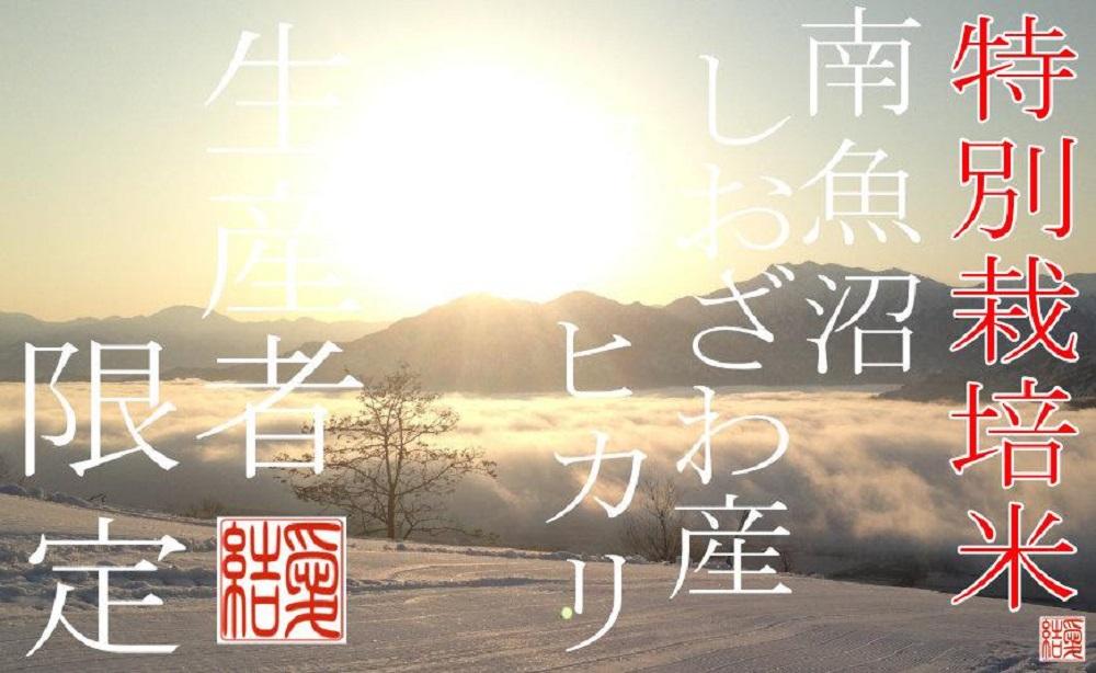 【令和7年産】【定期便5Kg×12ヶ月】【特別栽培米】 契約生産者限定  南魚沼しおざわ産コシヒカリ【2025年10月上旬より順次発送予定】