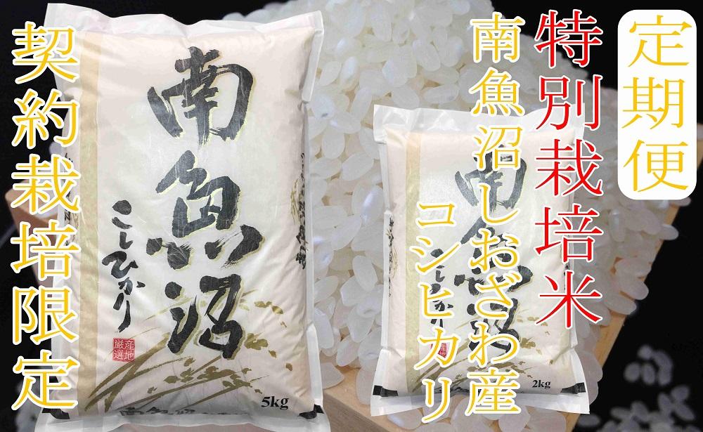 【令和7年産】※定期便：6Kg×6ヶ月※特別栽培 生産者限定  南魚沼しおざわ産コシヒカリ【2025年10月上旬より順次発送予定】