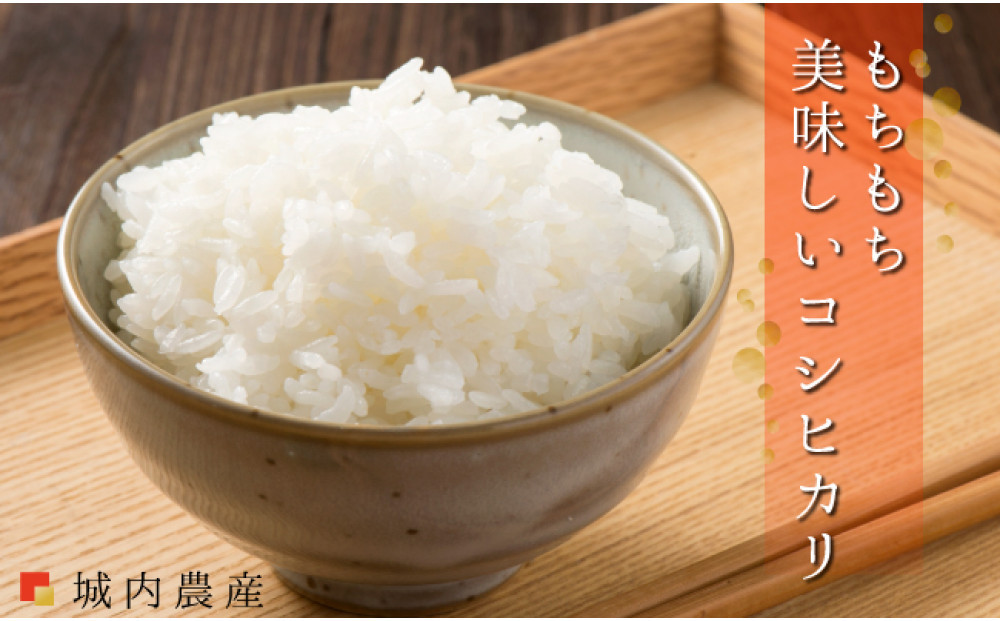 【令和７年産 】【お米定期便/全１２回】南魚沼産コシヒカリ　白米５ｋｇ＜５割減農薬栽培米＞城内農産