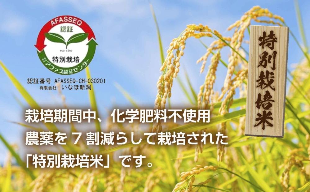 【特別栽培米】南魚沼産 コシヒカリ 5kg ×4袋 計20kg いなほ新潟 農家のこだわり 新潟県 南魚沼市 塩沢地区 しおざわ お米 こめ 白米 コメ 食品 人気 おすすめ 送料無料