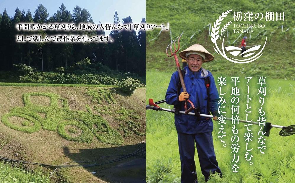 【栃窪の棚田米限定】南魚沼 しおざわ 栃窪産 コシヒカリ 10kg 日熊の米 農家のこだわり 棚田 こしひかり 農家直送 減農薬 新潟県認証 エコファーマー ベストファーマー 新潟県 南魚沼市  特A お米 こめ 白米 コメ 食品 人気 おすすめ 送料無料