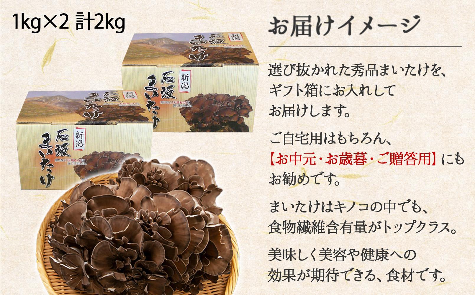 新潟県 南魚沼産 厳選 国産 石坂 高級 舞茸 まいたけ 産地直送 1kg ×2箱 計2kg 石坂きのこ: 南魚沼市ANAのふるさと納税