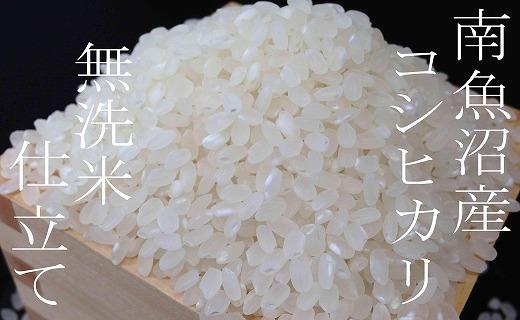 【令和7年産】【定期配送 無洗米5Kg×全3回】吟精  南魚沼産コシヒカリ