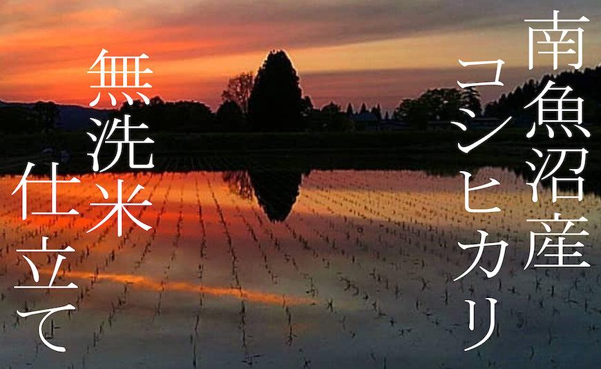 【令和7年産】【定期配送8Kg×全12回】吟精 無洗米 南魚沼産コシヒカリ【2025年10月上旬より順次発送予定】
