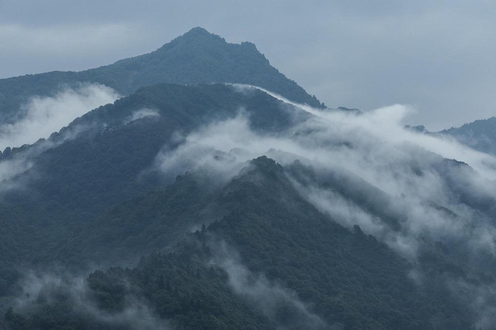 【令和7年産】【定期便】「貝瀬農園米」農薬5割減栽培　南魚沼塩沢産コシヒカリ　精米10kg(5kg×2個)×全12回