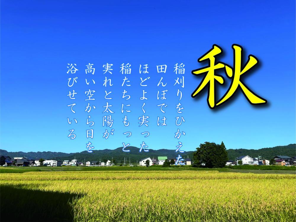 【令和7年産】【定期便 南魚沼産】コシヒカリ 白米5kg×6回【2025年9月中旬より順次発送予定】