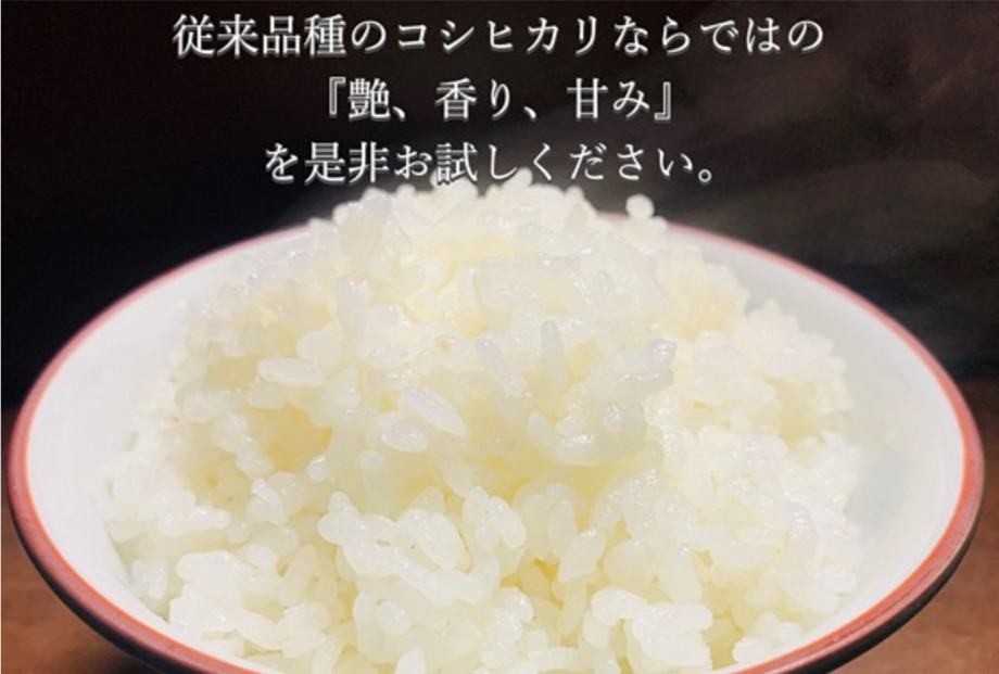 令和7年産　南魚沼塩沢産コシヒカリ　８割減特別栽培米　白米５kg