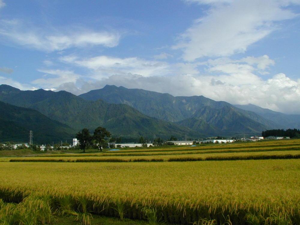 【定期便３回】（毎月下旬お届け）雪蔵氷温米 南魚沼産こしひかり５ｋｇ【高島屋選定品】