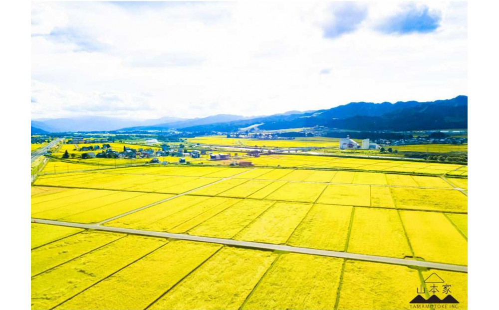 【R7年産】南魚沼産コシヒカリ精米2kg 山本家【従来品種】