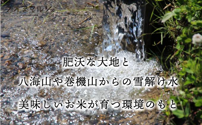 【令和７年産新米】おかずのいらない 魚沼産コシヒカリ　無洗米１０ｋｇ 令和７年産