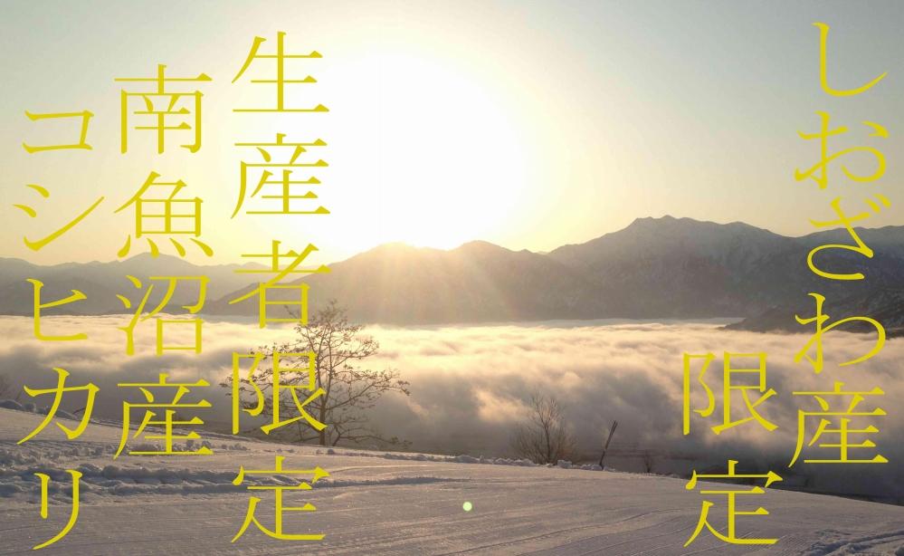 【令和7年産】【定期便2kg×3ヶ月】しおざわ産限定 生産者限定 南魚沼産コシヒカリ【2025年10月上旬より順次発送予定】