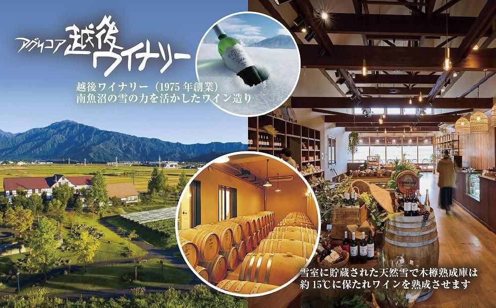 越後ワイン メルロー 赤 750ml アグリコア  越後ワイナリー  南魚沼市産メルロー使用 辛口 ミディアムボディ アルコール度数 12% 国産ワイン 魚沼ワイン わいん 送料無料 新潟県 南魚沼市