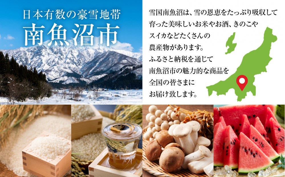 青木酒造製法違い飲み比べ4本セット 720ml 鶴齢 純米大吟醸 鶴齢 純米吟醸 鶴齢 純米 雪男 雪男本醸造 日本酒 米酒 酒 おさけ お酒 さけ アルコール 贈答品 プレゼント お祝い 送料無料 新潟県 南魚沼市 金田屋酒店