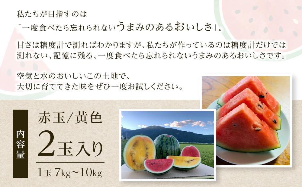 【夏季限定】飯塚農場産の八色原すいか　大玉2玉（赤1玉・黄1玉）セット【2026年7月下旬より順次発送予定】